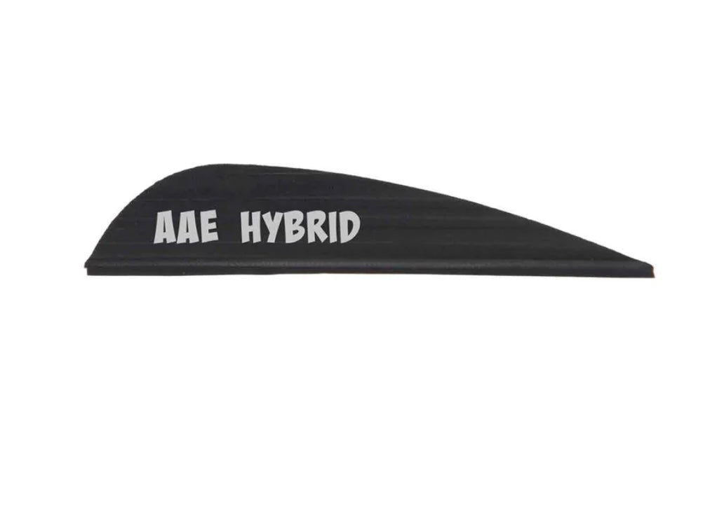 AAE Hybrid-26
