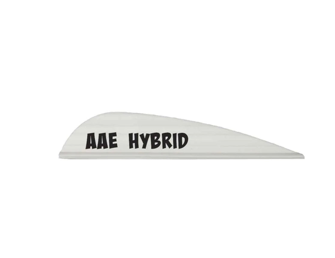 AAE Hybrid-26