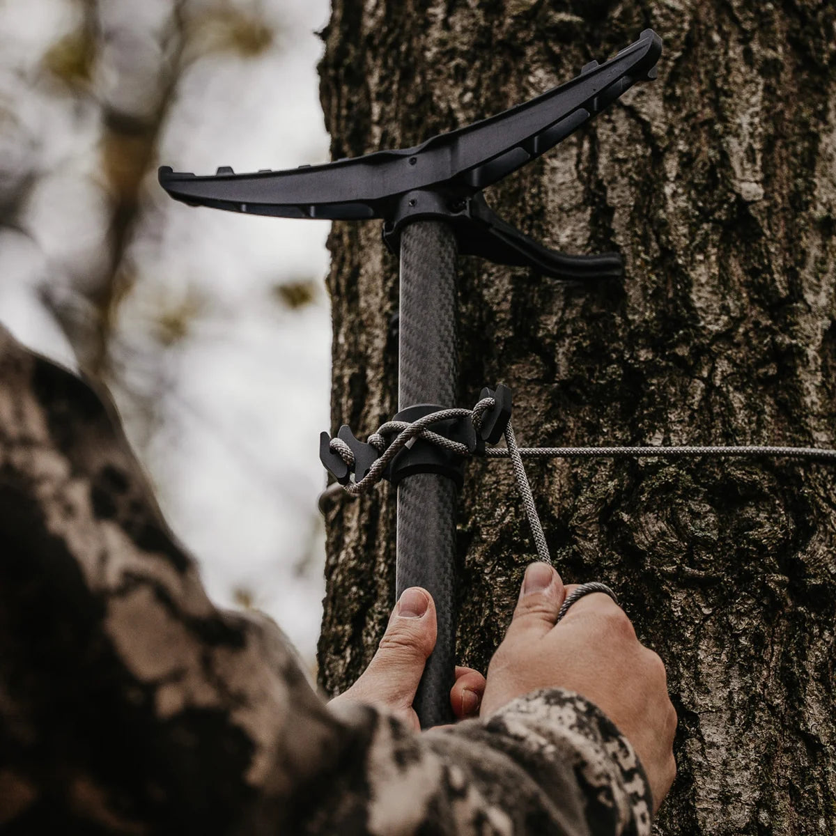 Arsenal CarbonLite